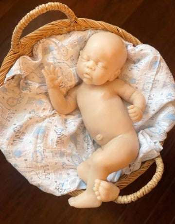 Custom Order Phoenix by Bonnie Sieben Full Body Newborn Silicone