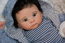 Load image into Gallery viewer, Harry by Linda Murray