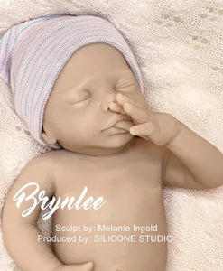 Custom Order Brynlee Full Body Preemie Silicone Doll Melanie Ingold