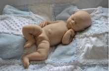 Load image into Gallery viewer, Custom Order Phoenix by Bonnie Sieben Full Body Newborn Silicone Doll