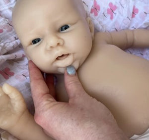 Custom Order Lilly by Bonnie Sieben Full Body Newborn Silicone Doll